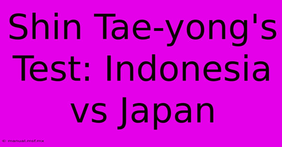 Shin Tae-yong's Test: Indonesia Vs Japan