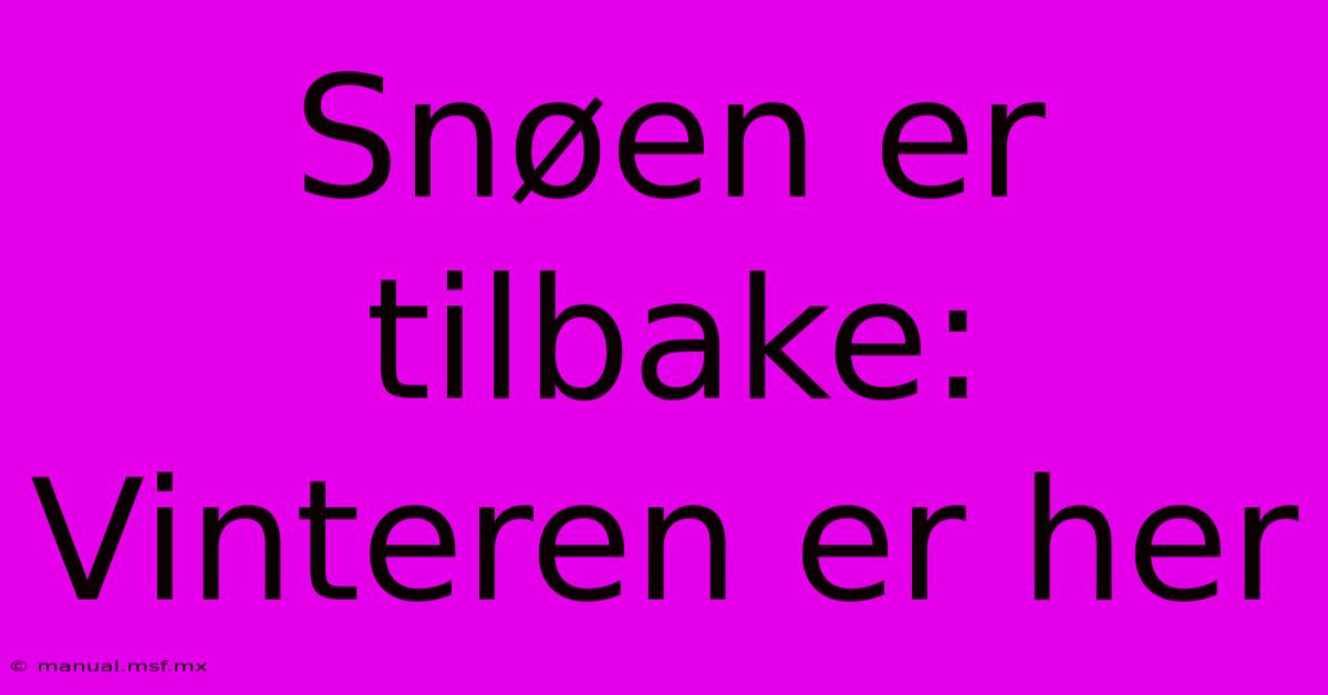 Snøen Er Tilbake: Vinteren Er Her