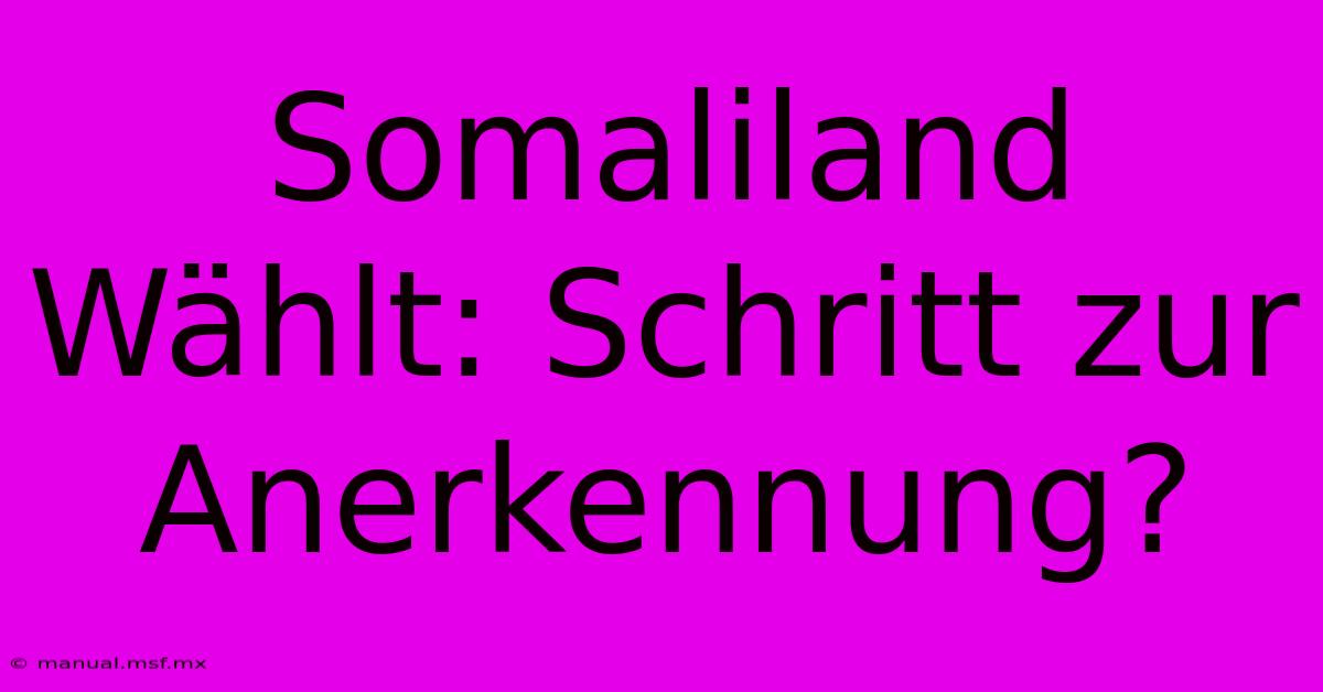 Somaliland Wählt: Schritt Zur Anerkennung?