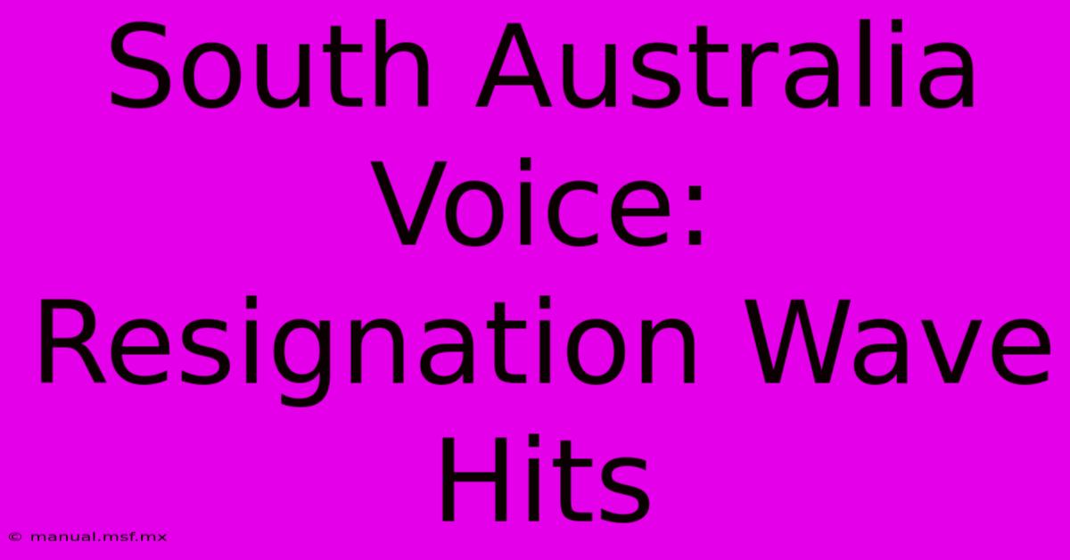 South Australia Voice: Resignation Wave Hits