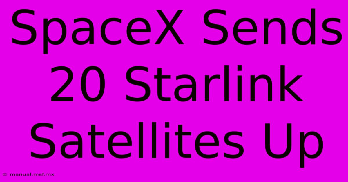 SpaceX Sends 20 Starlink Satellites Up