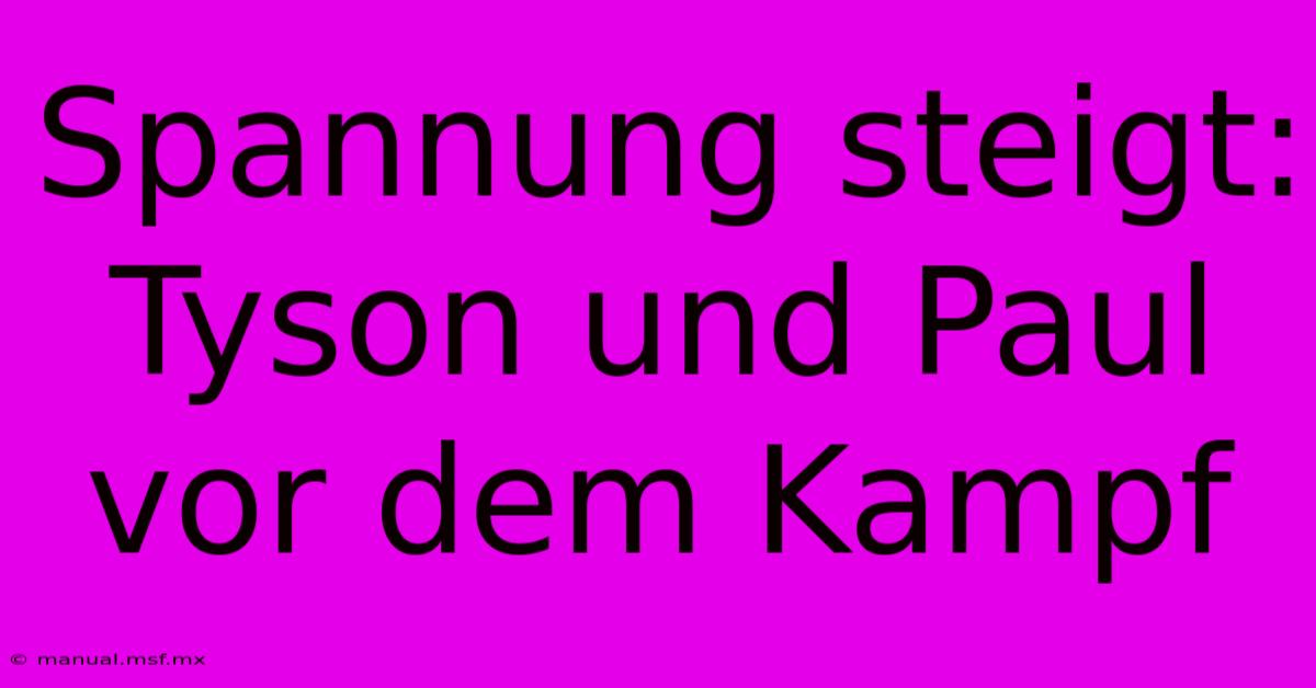 Spannung Steigt: Tyson Und Paul Vor Dem Kampf