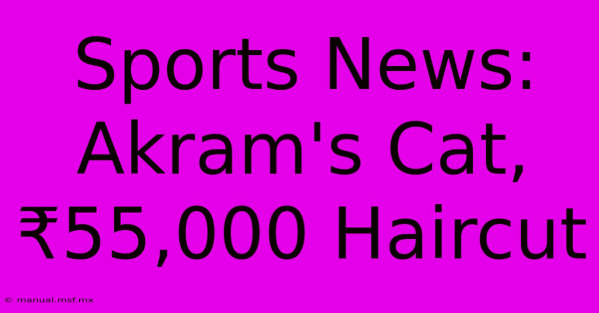 Sports News: Akram's Cat, ₹55,000 Haircut