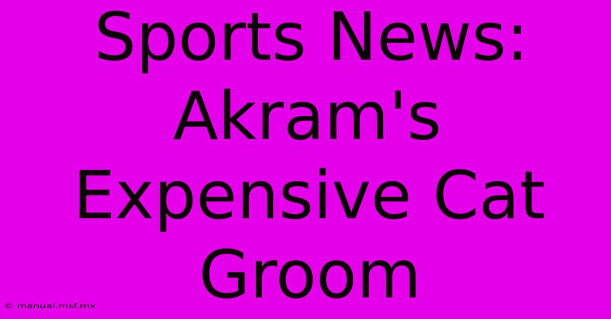 Sports News: Akram's Expensive Cat Groom