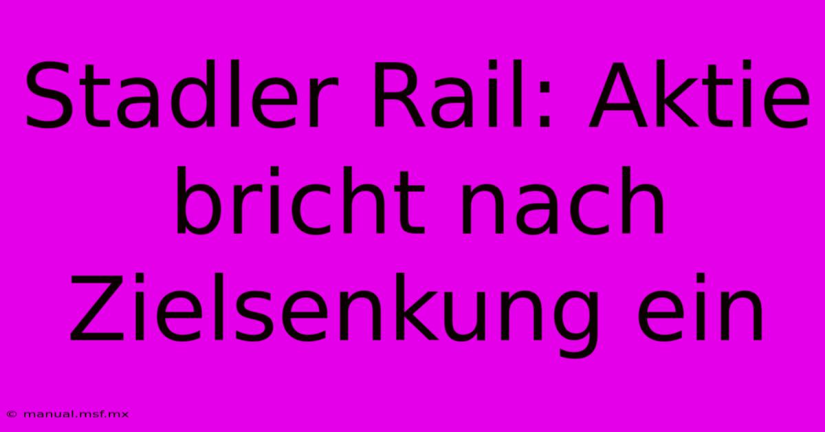 Stadler Rail: Aktie Bricht Nach Zielsenkung Ein