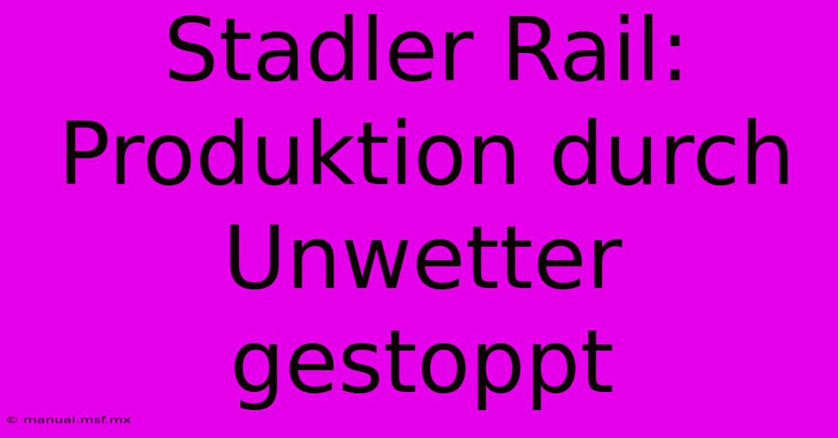 Stadler Rail: Produktion Durch Unwetter Gestoppt