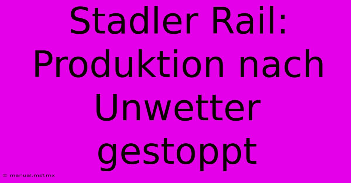 Stadler Rail: Produktion Nach Unwetter Gestoppt 