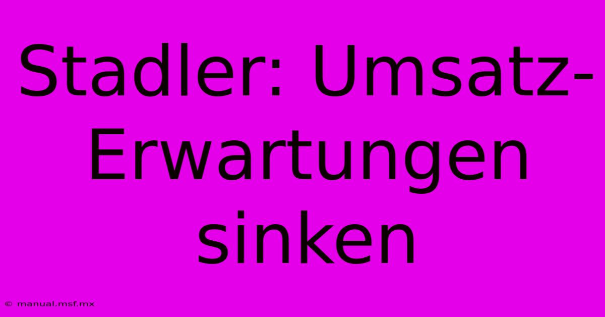 Stadler: Umsatz-Erwartungen Sinken 