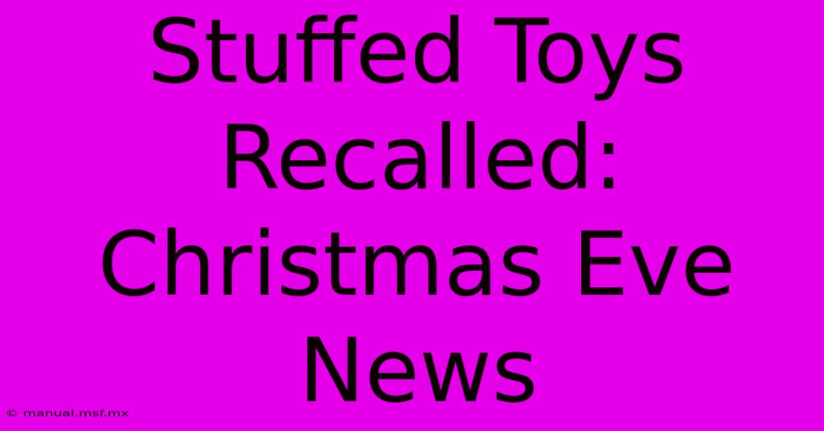 Stuffed Toys Recalled: Christmas Eve News