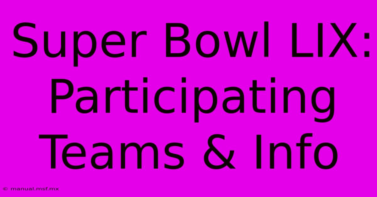 Super Bowl LIX: Participating Teams & Info