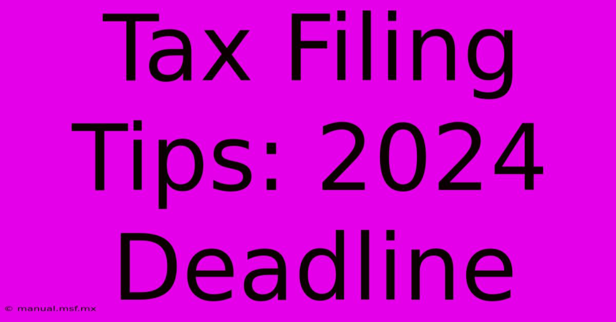 Tax Filing Tips: 2024 Deadline