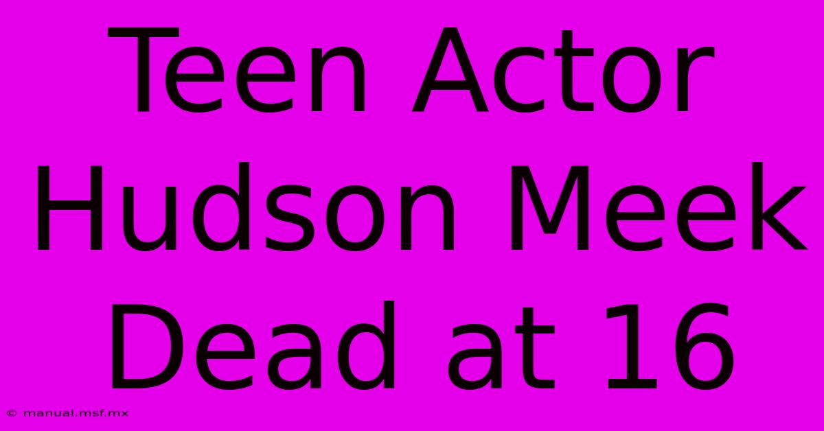 Teen Actor Hudson Meek Dead At 16