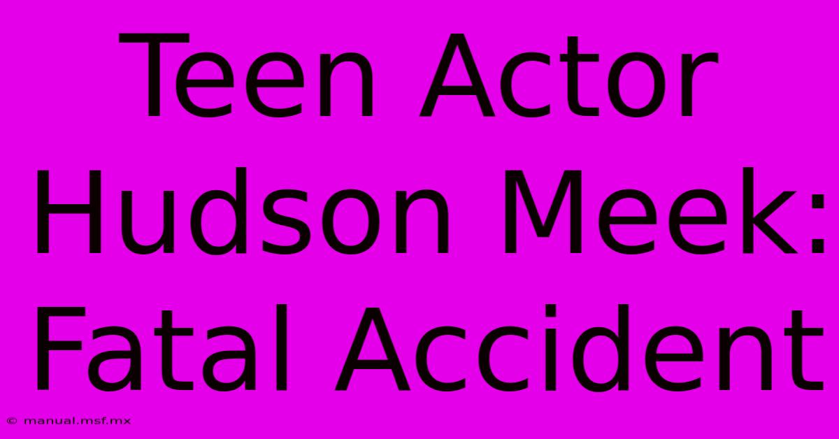 Teen Actor Hudson Meek: Fatal Accident