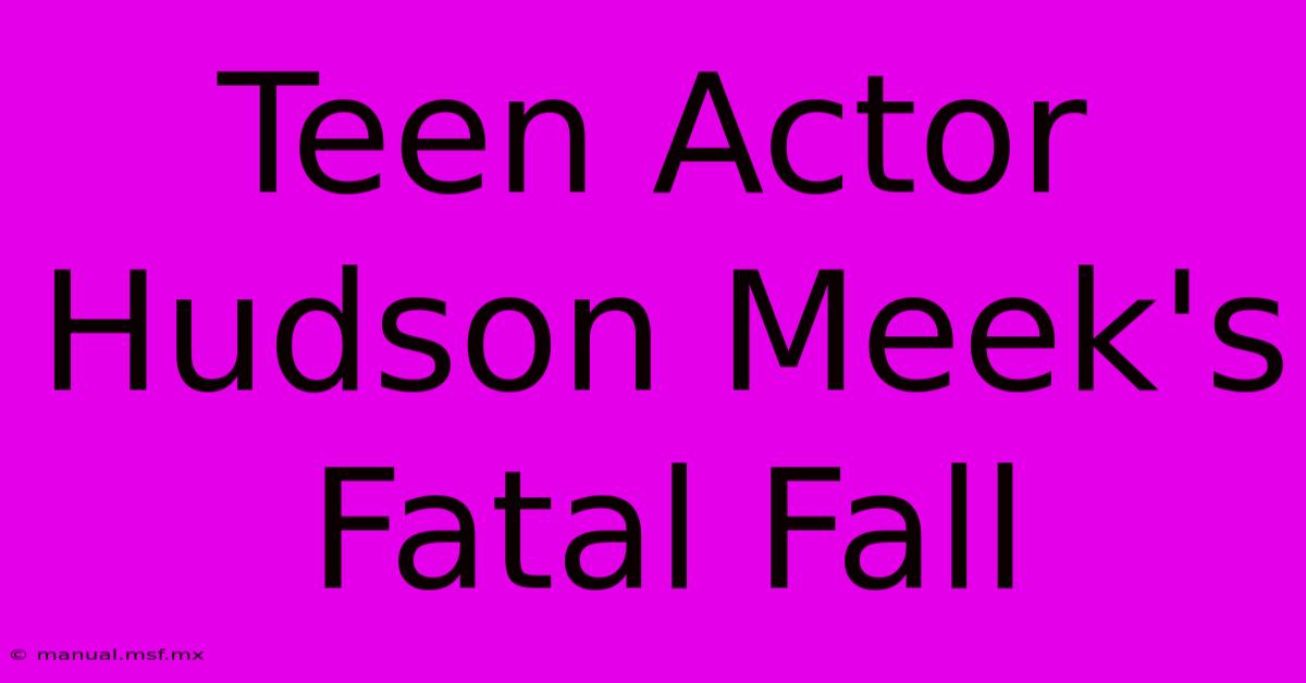 Teen Actor Hudson Meek's Fatal Fall