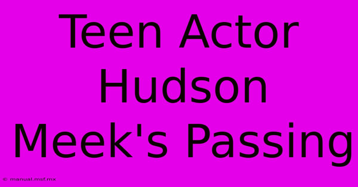 Teen Actor Hudson Meek's Passing