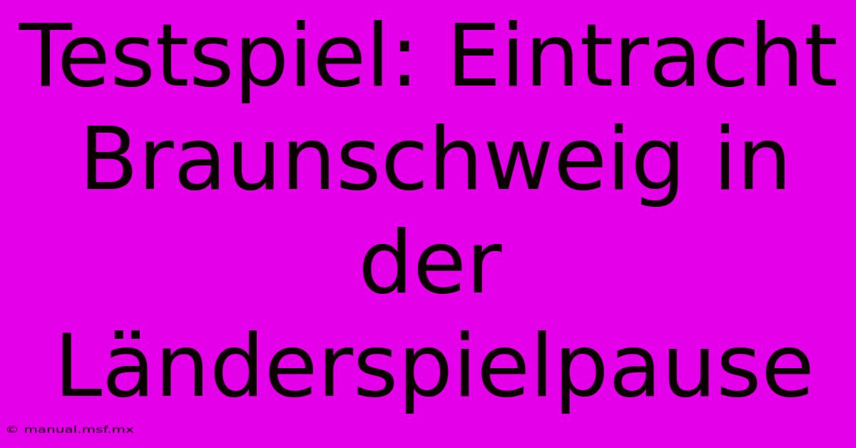 Testspiel: Eintracht Braunschweig In Der Länderspielpause