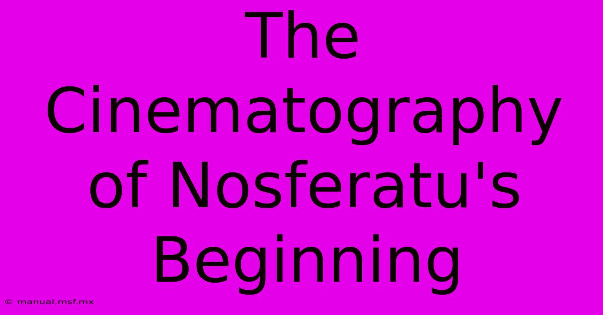 The Cinematography Of Nosferatu's Beginning