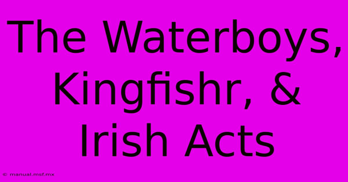 The Waterboys, Kingfishr, & Irish Acts