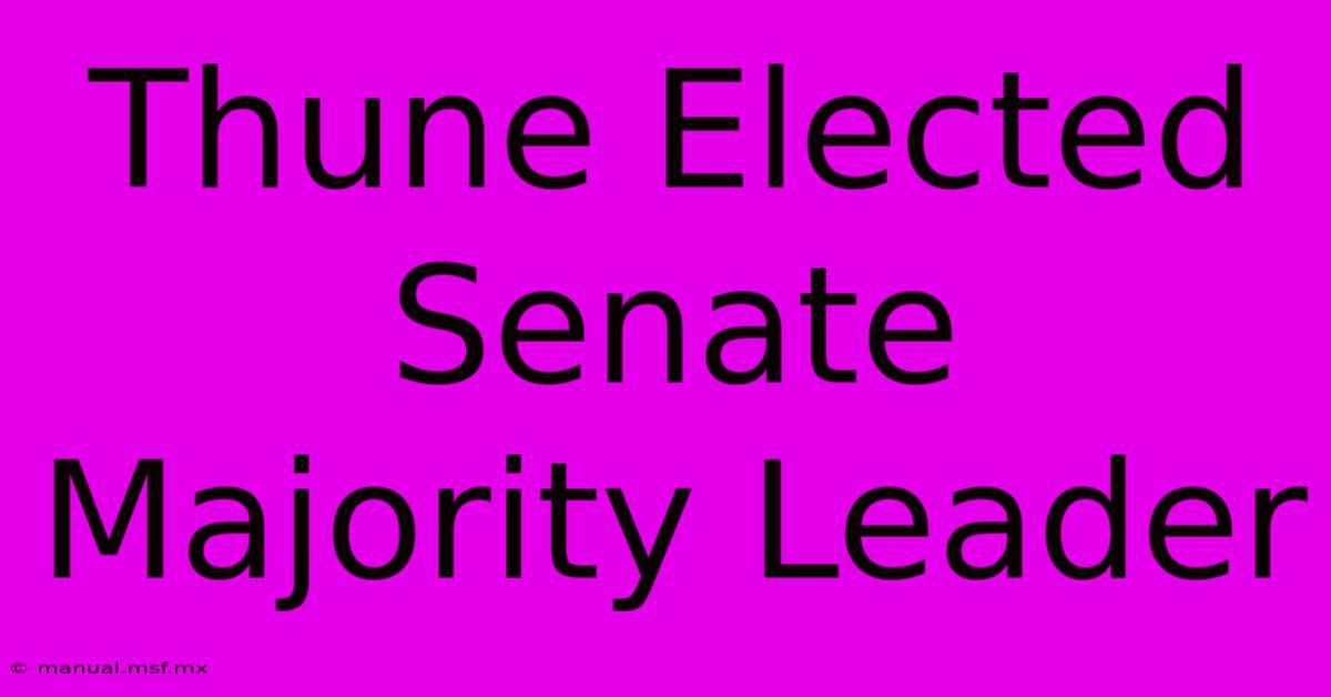 Thune Elected Senate Majority Leader 