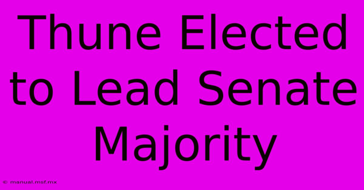 Thune Elected To Lead Senate Majority 