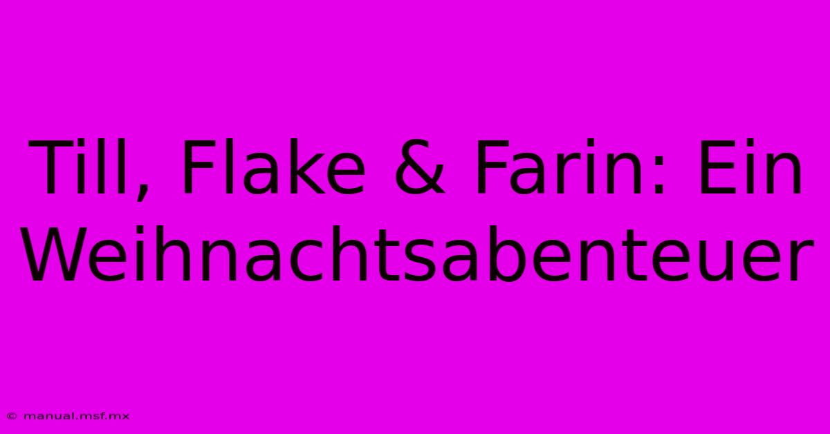 Till, Flake & Farin: Ein Weihnachtsabenteuer