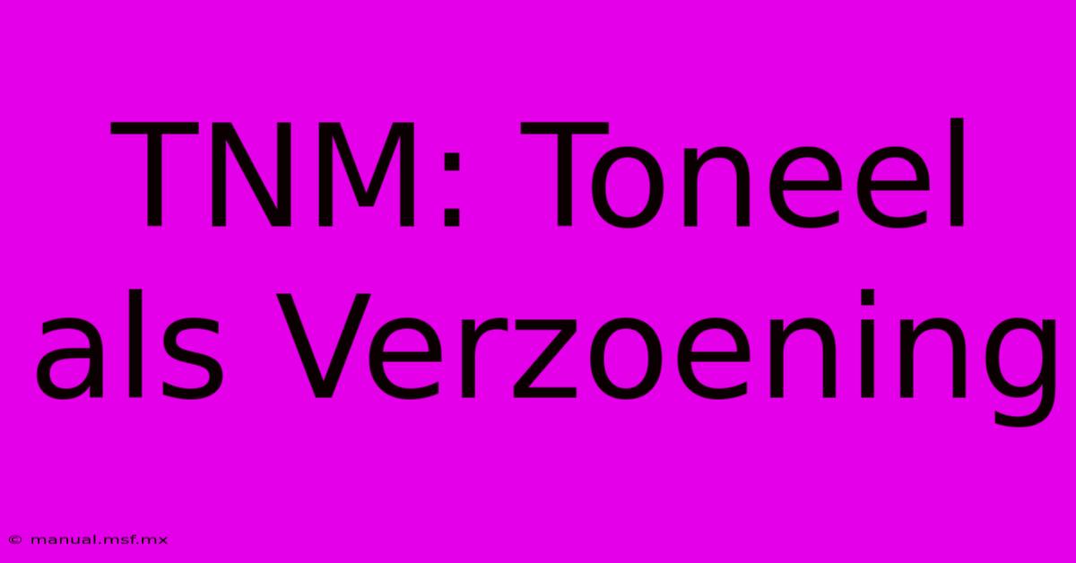 TNM: Toneel Als Verzoening