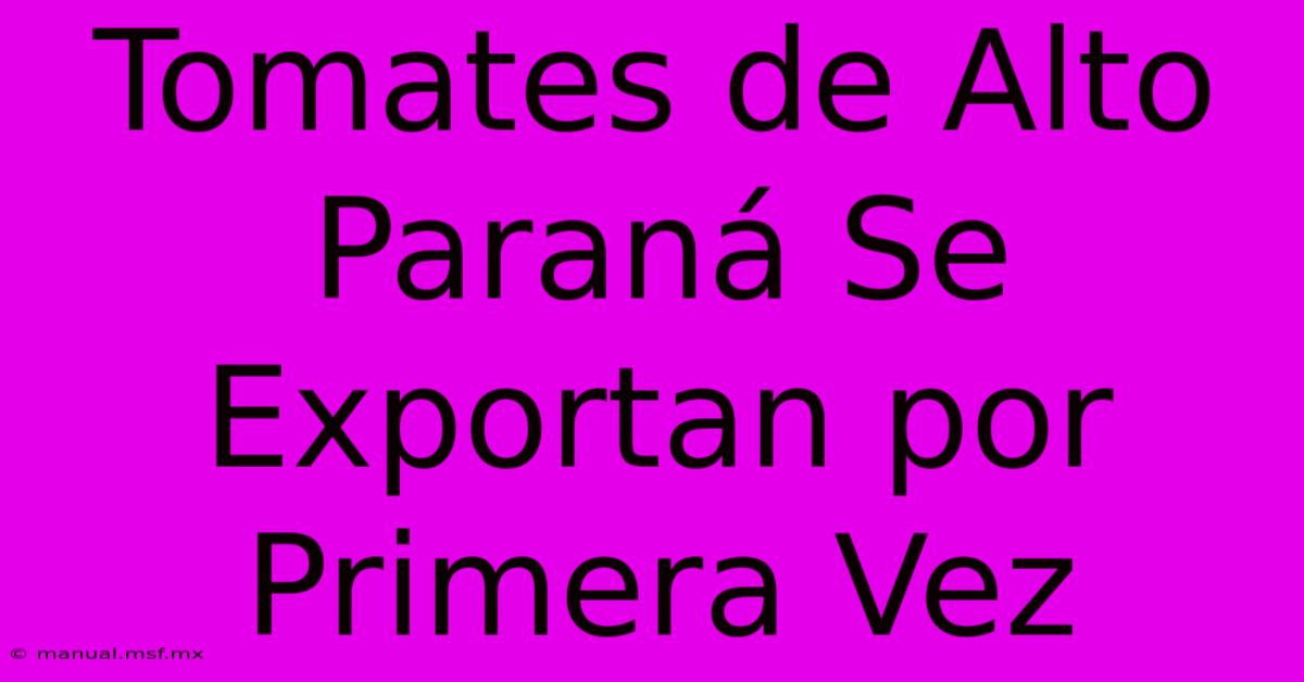 Tomates De Alto Paraná Se Exportan Por Primera Vez