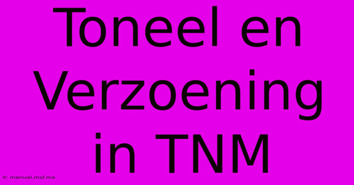 Toneel En Verzoening In TNM