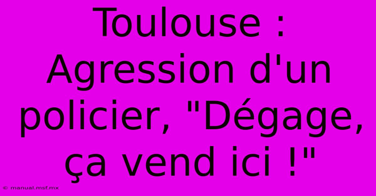 Toulouse : Agression D'un Policier, 