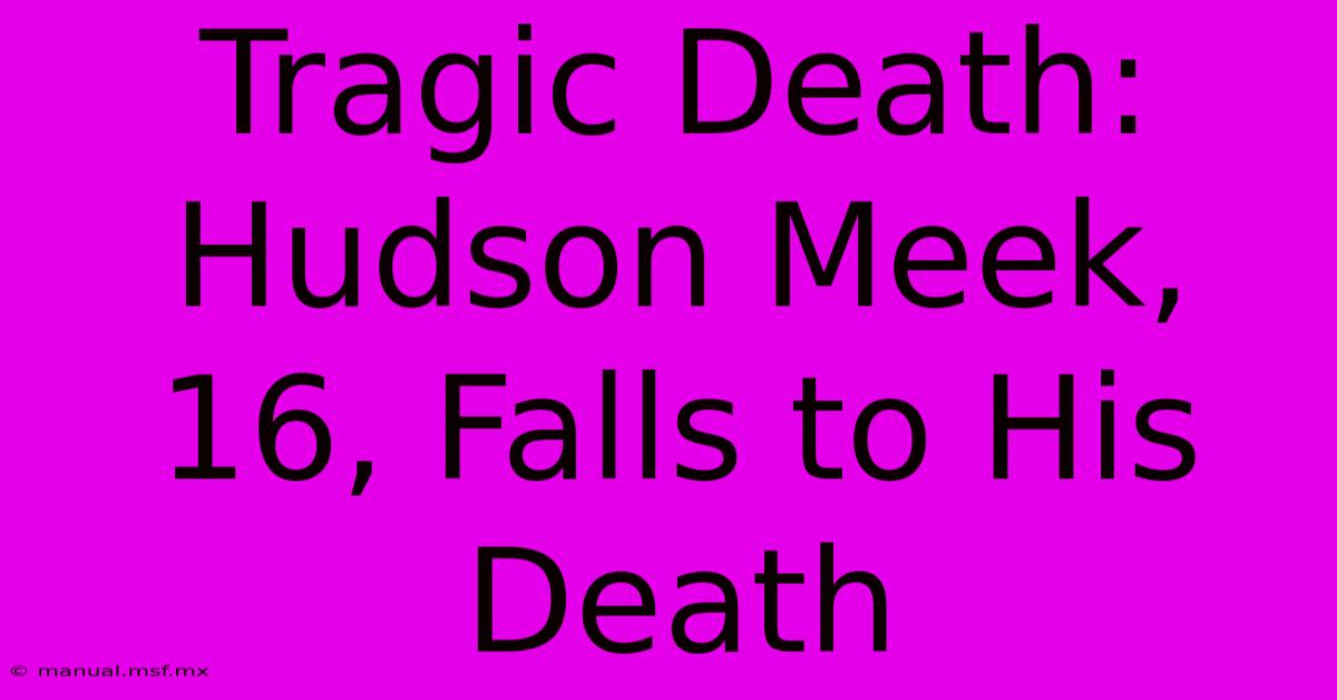 Tragic Death: Hudson Meek, 16, Falls To His Death