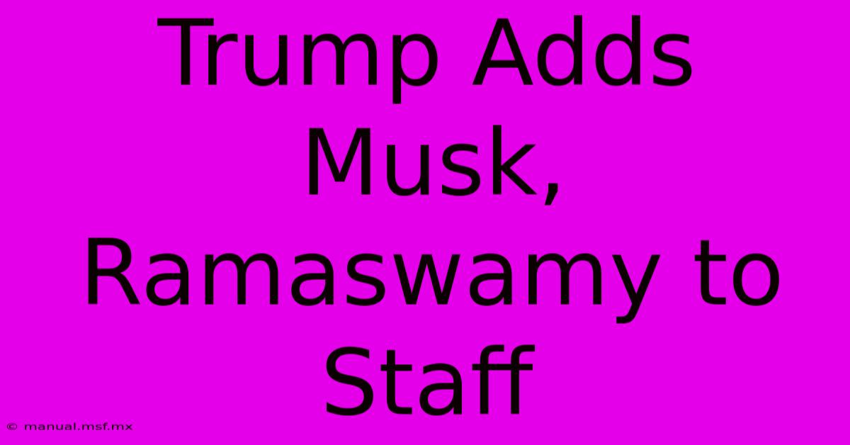 Trump Adds Musk, Ramaswamy To Staff 