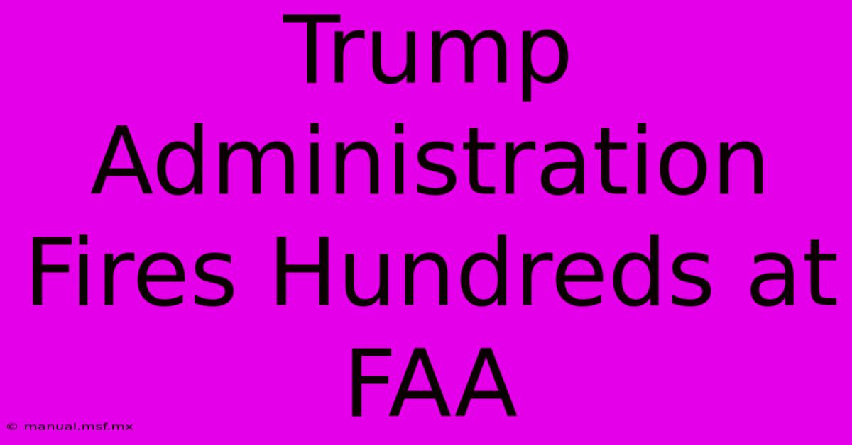 Trump Administration Fires Hundreds At FAA