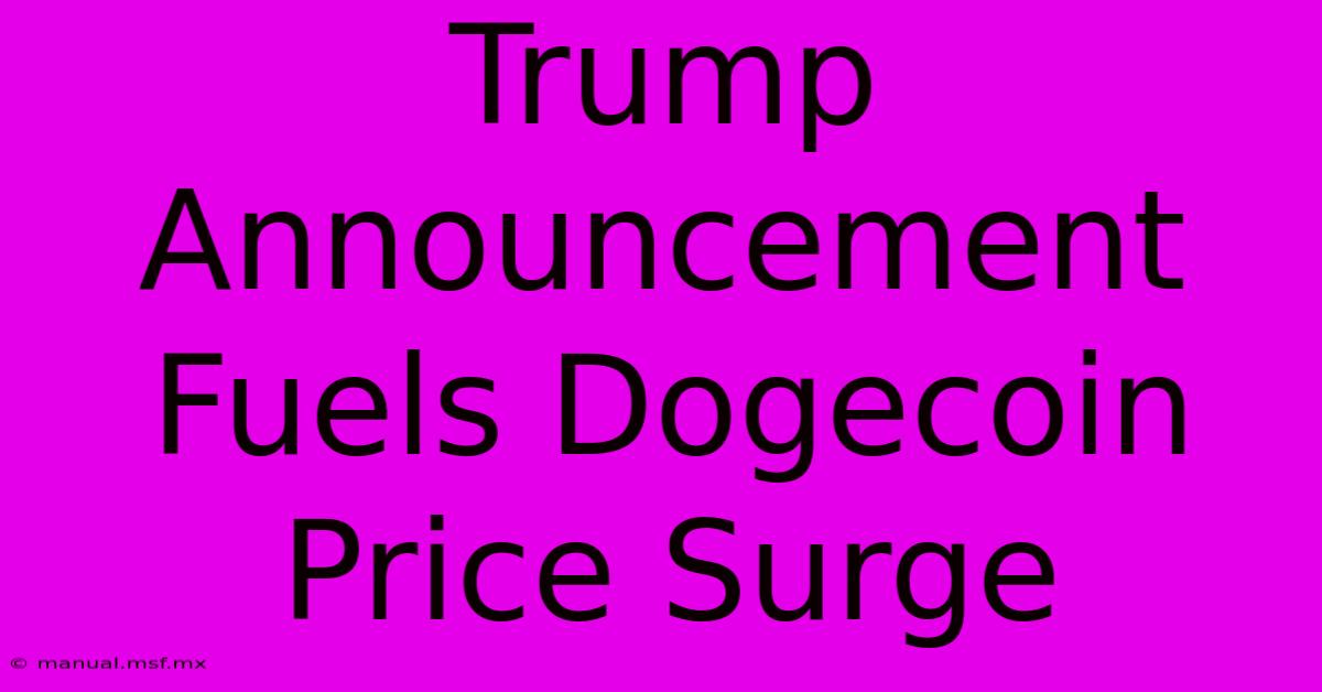 Trump Announcement Fuels Dogecoin Price Surge 