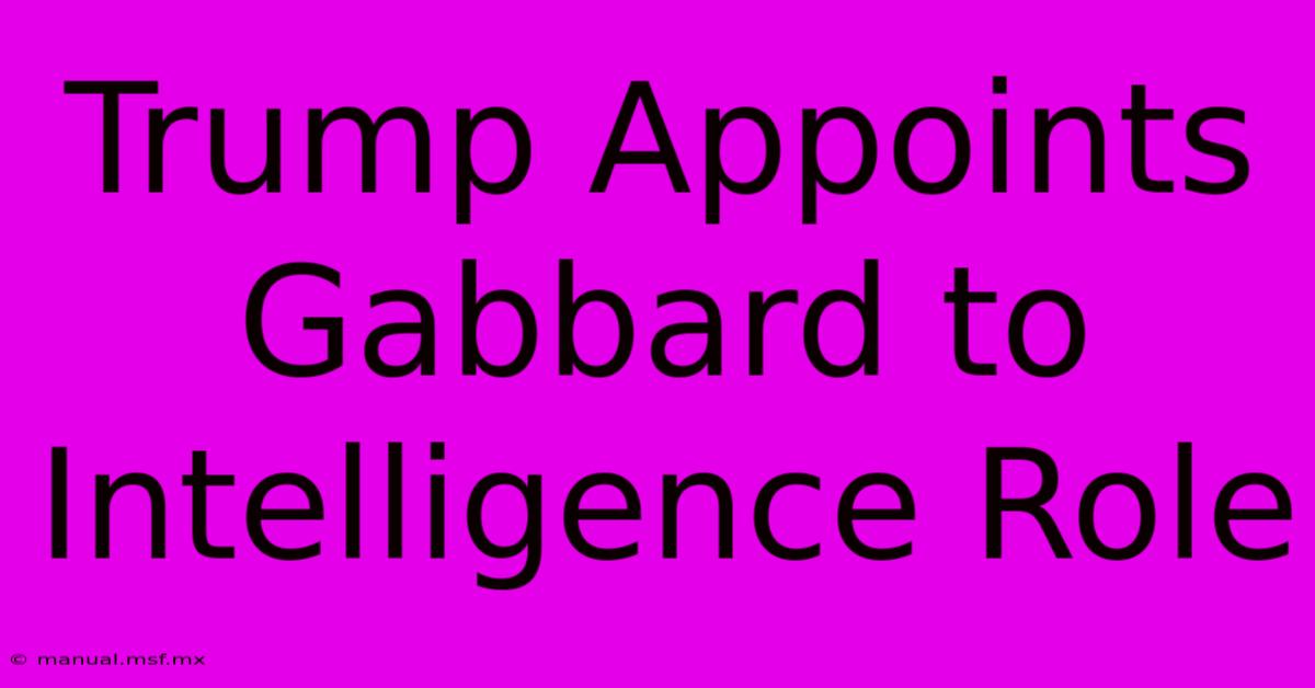 Trump Appoints Gabbard To Intelligence Role 