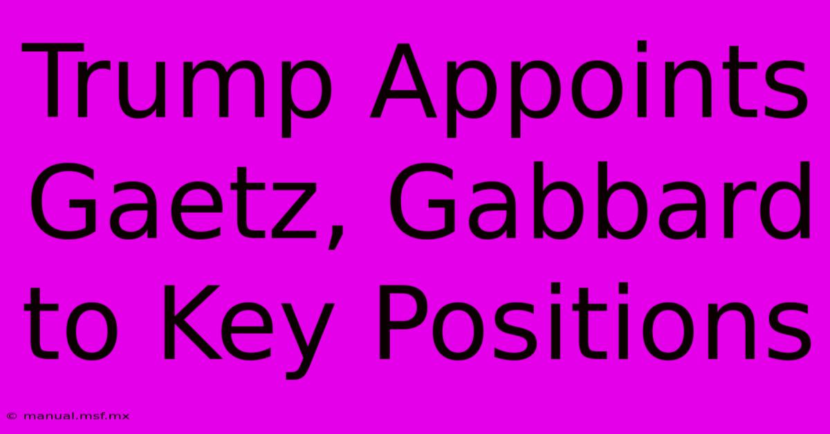 Trump Appoints Gaetz, Gabbard To Key Positions