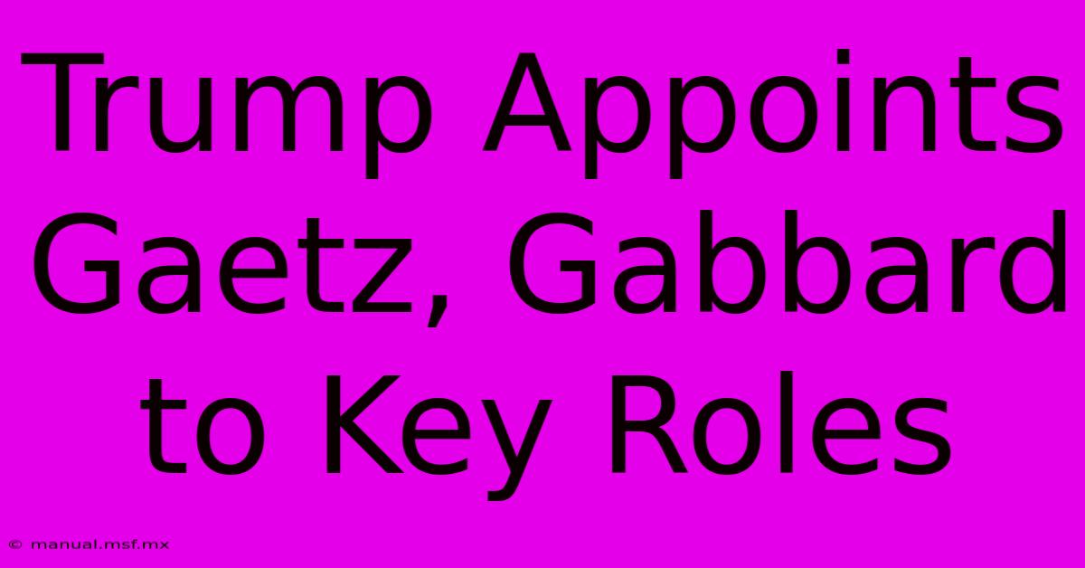 Trump Appoints Gaetz, Gabbard To Key Roles