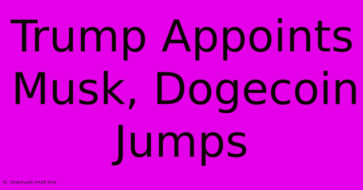 Trump Appoints Musk, Dogecoin Jumps 