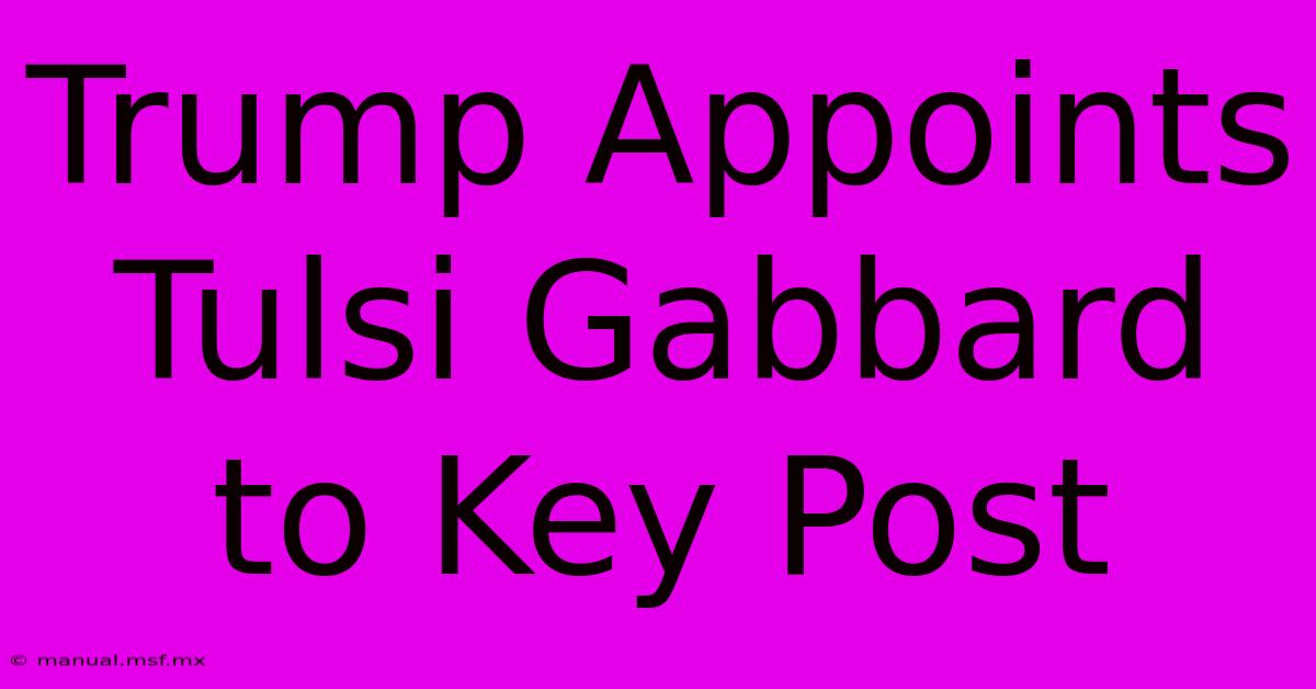 Trump Appoints Tulsi Gabbard To Key Post