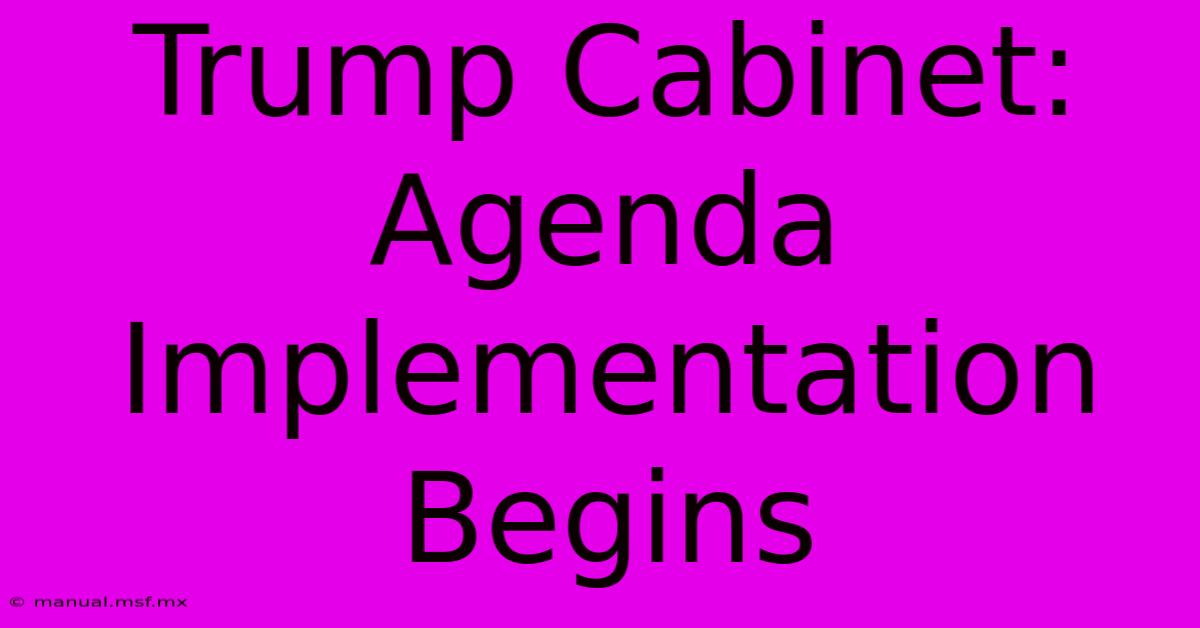 Trump Cabinet: Agenda Implementation Begins 