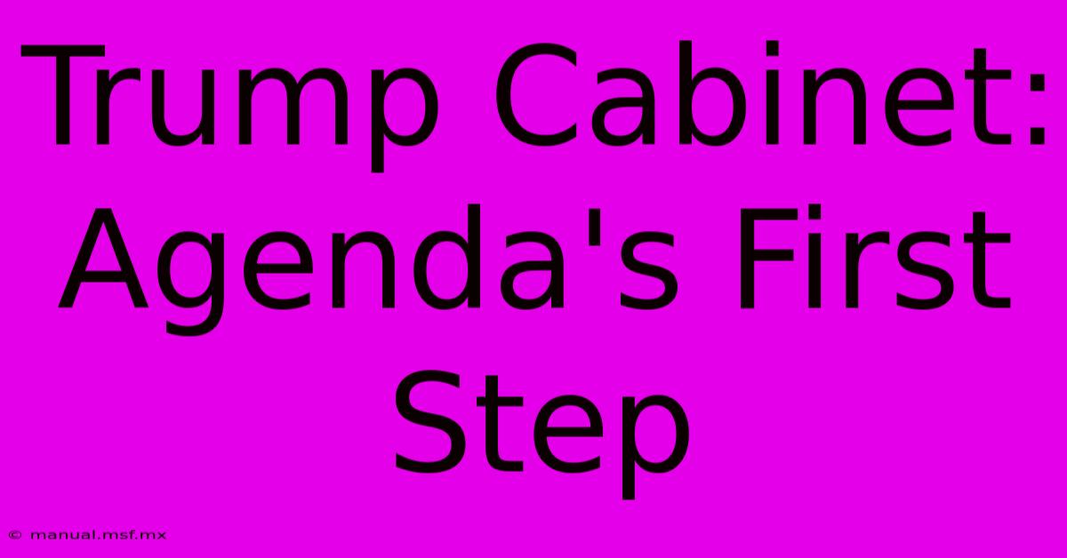 Trump Cabinet: Agenda's First Step