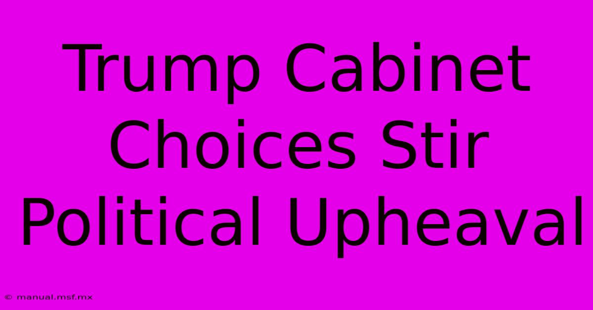 Trump Cabinet Choices Stir Political Upheaval