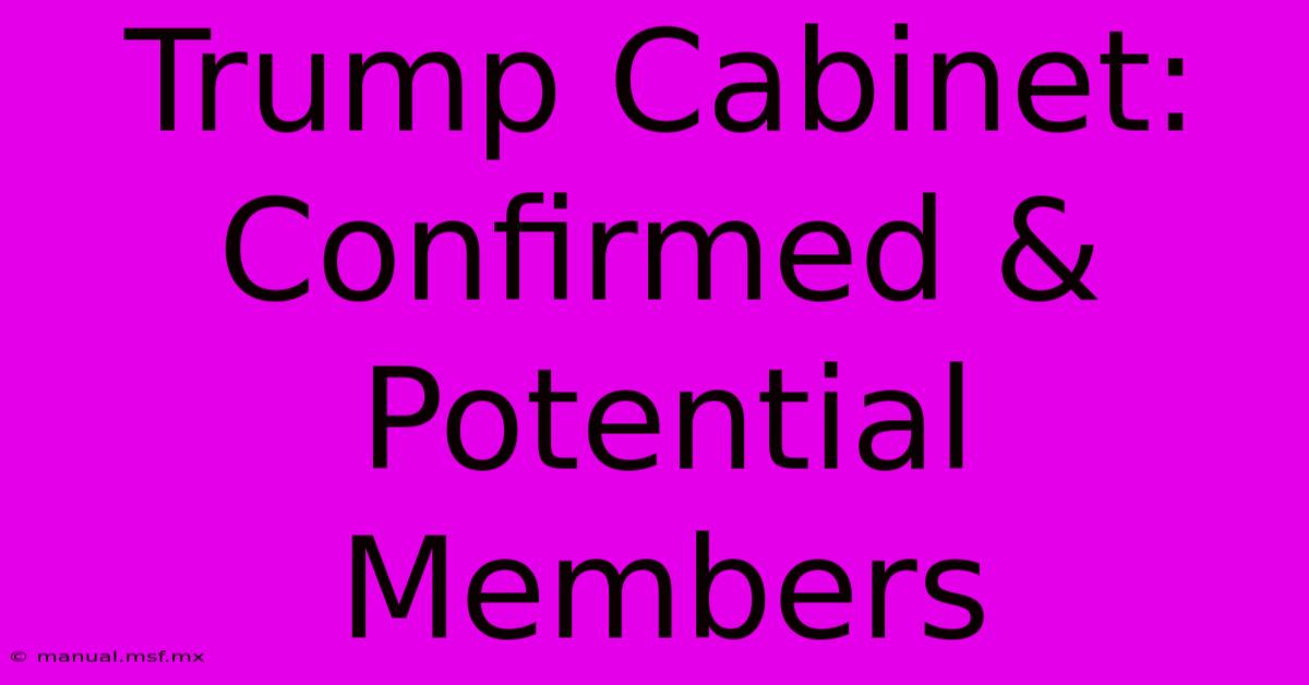 Trump Cabinet: Confirmed & Potential Members