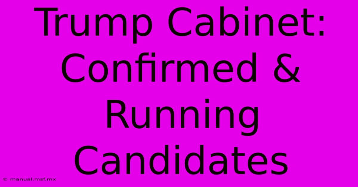 Trump Cabinet: Confirmed &  Running Candidates 