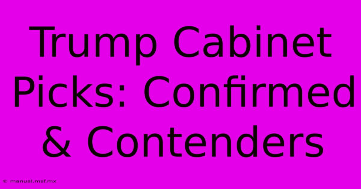 Trump Cabinet Picks: Confirmed & Contenders