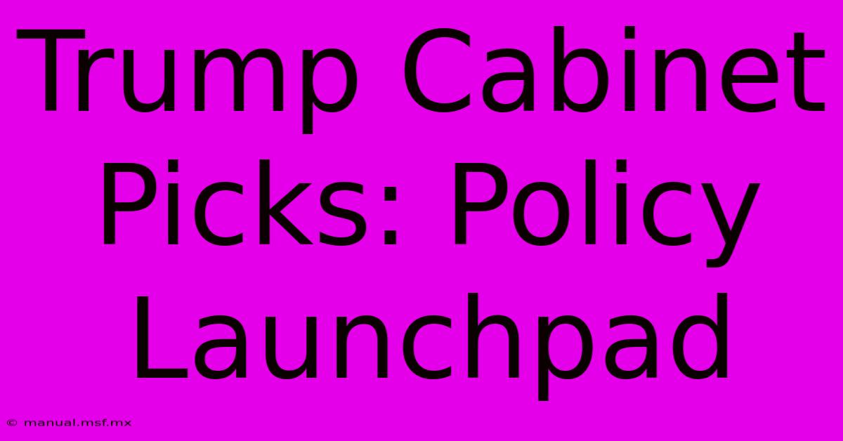 Trump Cabinet Picks: Policy Launchpad