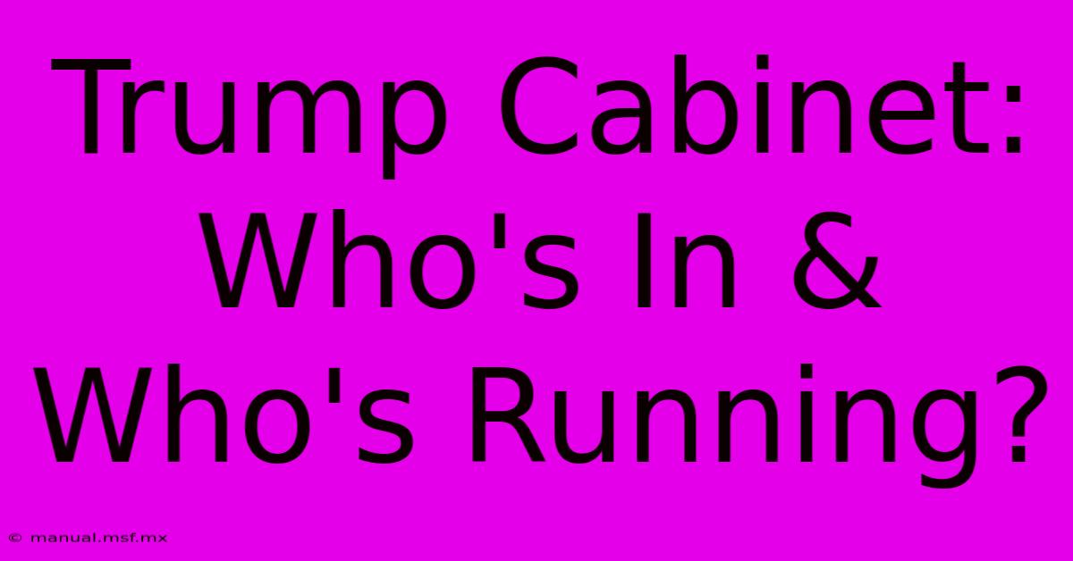 Trump Cabinet: Who's In & Who's Running?