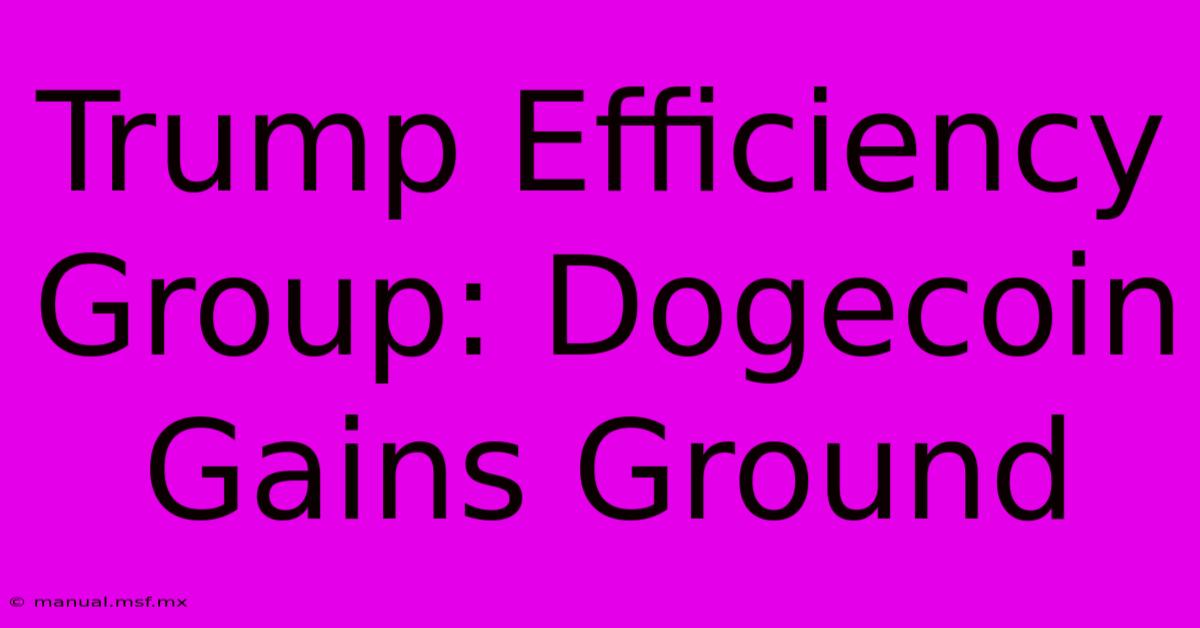 Trump Efficiency Group: Dogecoin Gains Ground