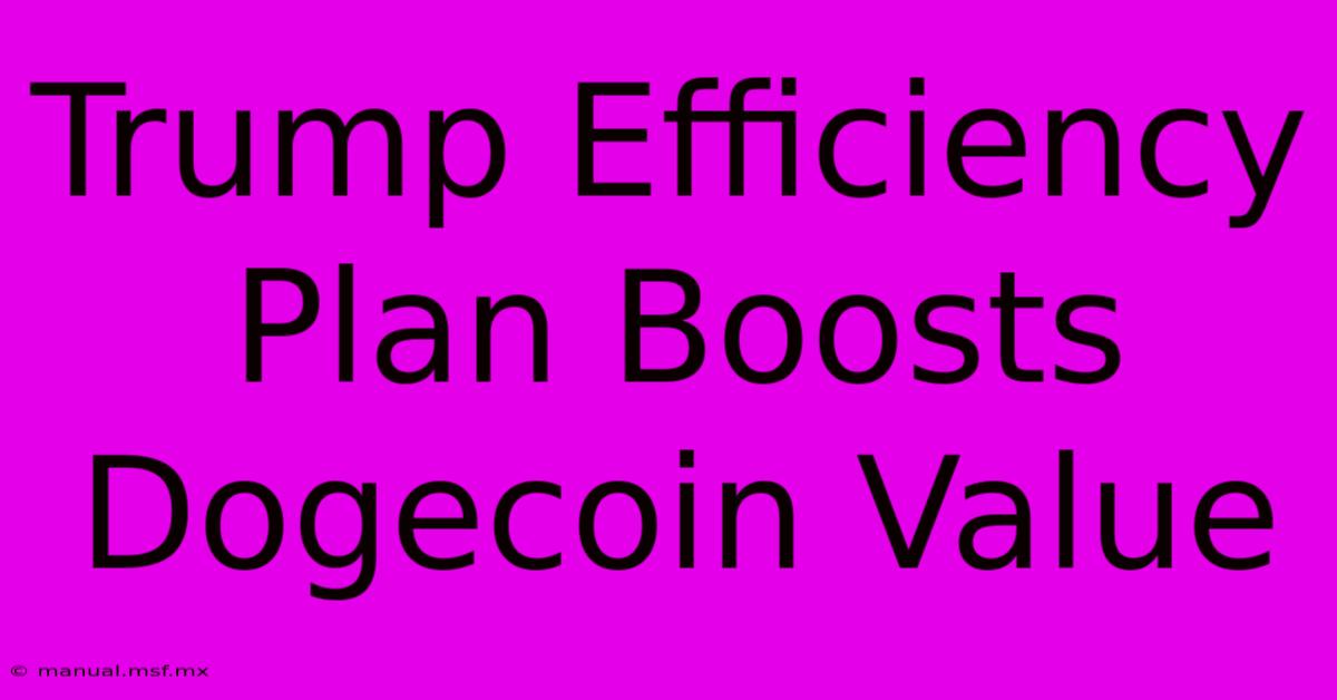 Trump Efficiency Plan Boosts Dogecoin Value