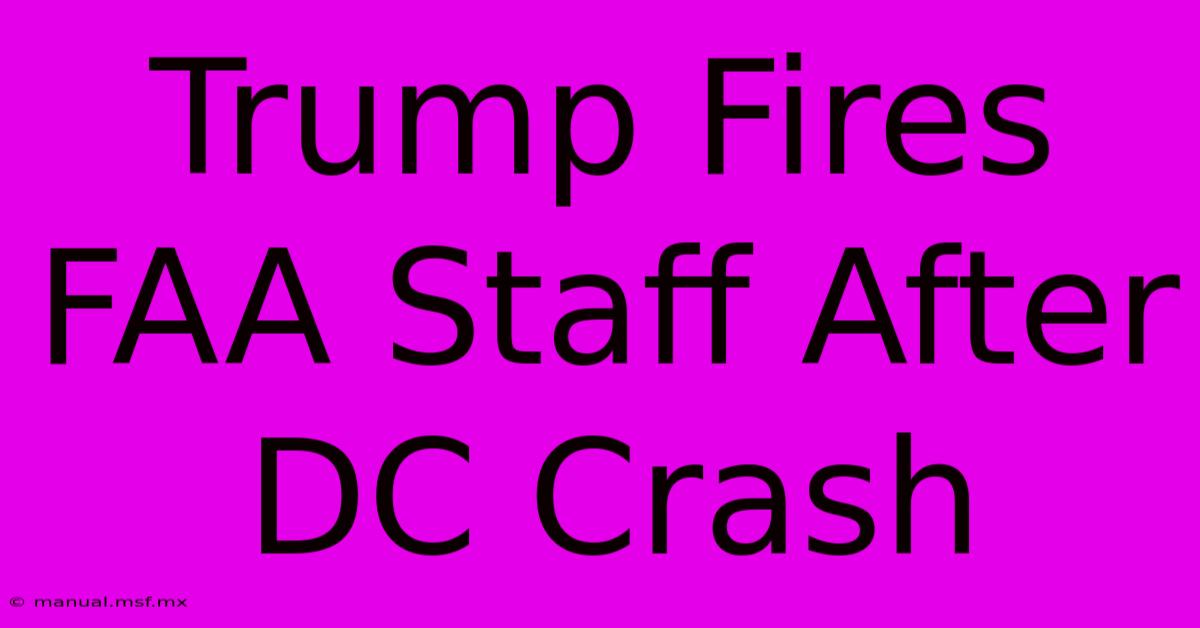 Trump Fires FAA Staff After DC Crash