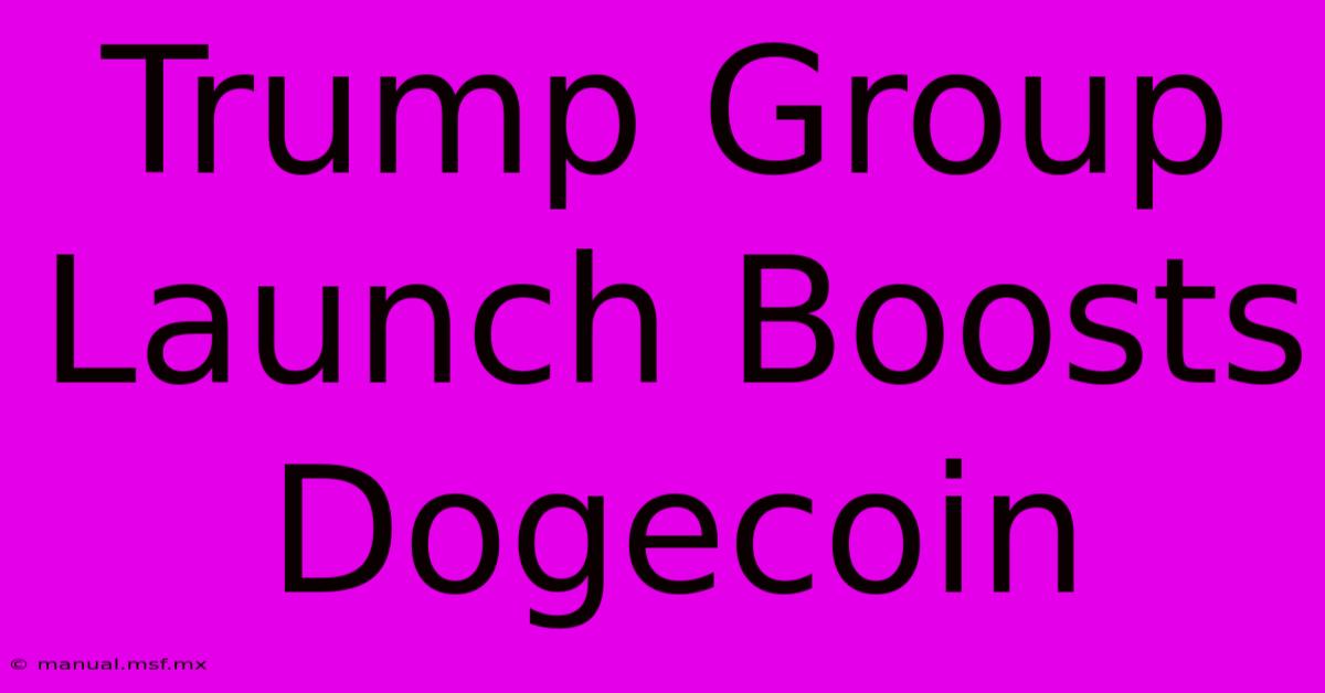 Trump Group Launch Boosts Dogecoin 